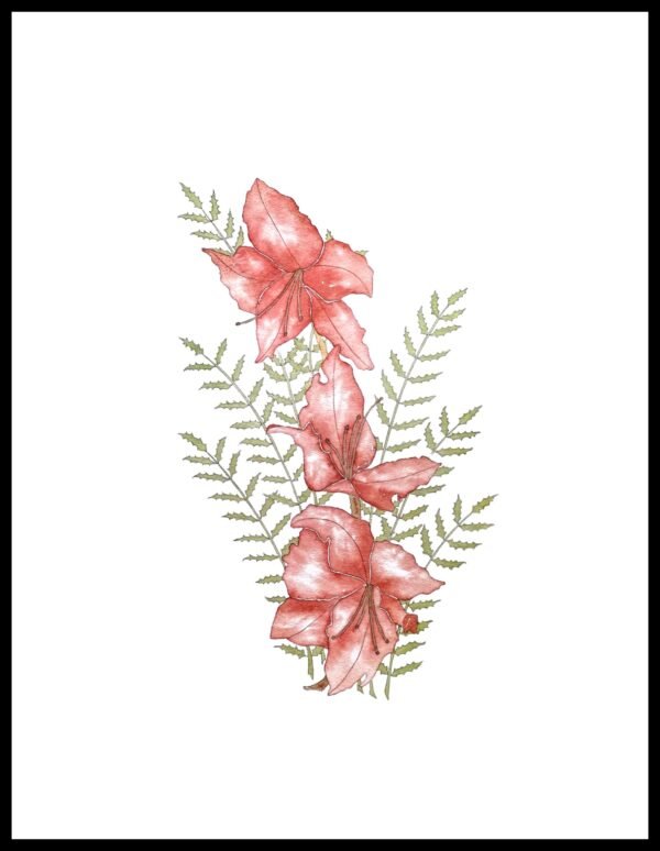 AIM 661 Rhododendrons (S/N LIMITED EDITION)